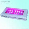 high power 120W grow light  1