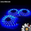 SMD3528 LED flexible strip light  3