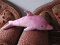仿真海豚海洋毛绒玩具 5