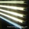 Fluorescent Tubes  5