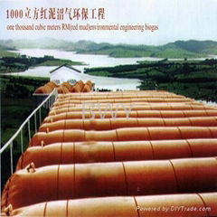 BEST BIO GAS PLANT IN CHINA