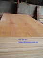 Plywood for construction