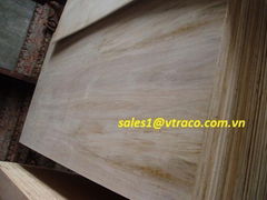 Hardwood Plywood