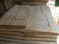 Short core veneer with high quality and best price