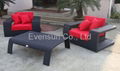 rattan sofa set