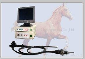 veterinary endoscope