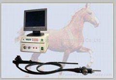 veterinary endoscope