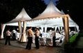 Marquee Tent 3