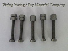 molybdenum screw