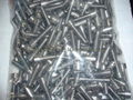 tantalum screw