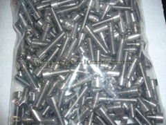 tantalum screw 