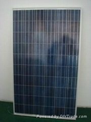 245W-290W Polycrystalline Solar Module
