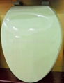 NON-FERROUS PP TOILET SEAT COVER