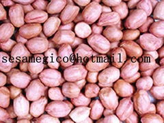 red skin peanut kernel