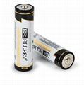 Alkaline dry battery