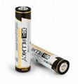 Alkaline dry battery