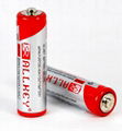 Heavy duty battery