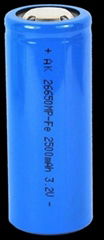 Lithium Iron Phosphate Battery 