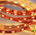 Waterproof LED Flexible strip(3528SMD)