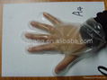 CPE disposable plastic gloves 1