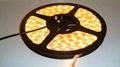 SMD5050 30leds/m LED Strip 4