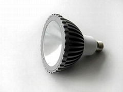 LED Spot Light PAR38