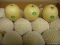 Fresh Crown pear 2