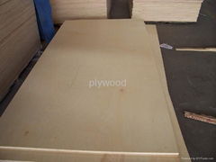 Full birch plywood