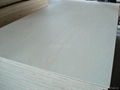 Full poplar plywood