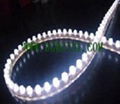 China LED Flexible Strip Light 1