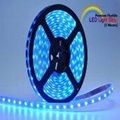 Decorative flexible led strip RGB