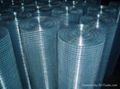 Welded Wire Mesh