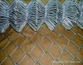 Chain Link Wire Mesh 1