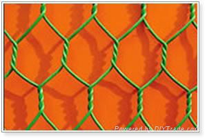 Hexagonal Wire Netting