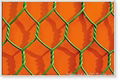 Hexagonal Wire Netting