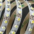 Flexible LED Strips with 3528 SMD 5