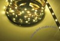LED Strip Lights with 5060 SMD 1