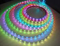 RGB Flexible LED Strips with 5060 SMD 2