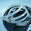 RGB Flexible LED Strips with 5060 SMD 3