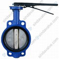 Wafer Butterfly Valve