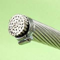 Aluminium Alloy Conductors (AAAC)