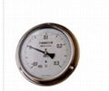 Stainless Steel Pressure Gauge