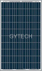 solar panel module(poly-crystalline)