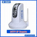 SCI-010 CCTV IP Camera Economy network camera support wifi and 3G mobile view
