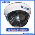 SCI-120 Economic IP camera wireless ip camera with WIFI LED and support 3g view 1