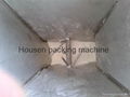 Automatic Powder  packing machine  2