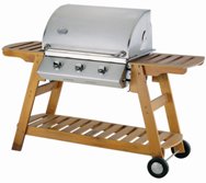 CE Stainless Steel BBQ Gas Grill  5