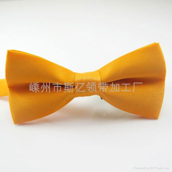 Fashion Polyester Bow ties 2