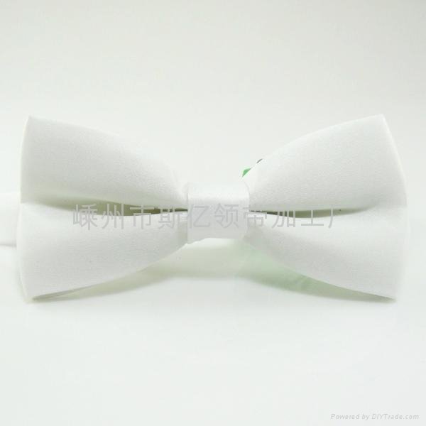 Fashion Polyester Bow ties 3