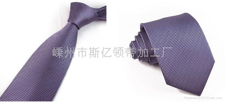 Polyester Wove Necktie/Small Cell Necktie 3